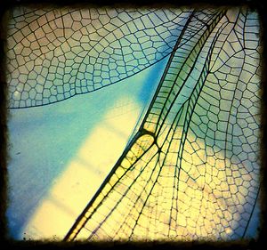 View of chainlink fence