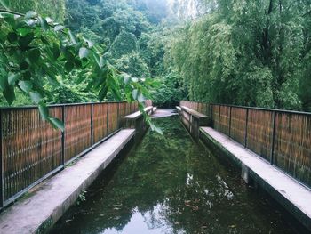 View of canal along trees