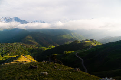 environment