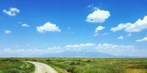 Scenic view of agricultural field against blue sky