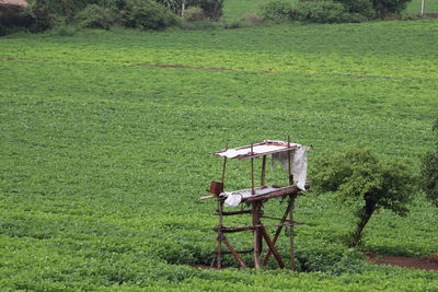 Lifeguard hut on grassy field