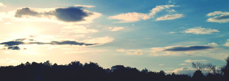 Silhouette of trees at sunset