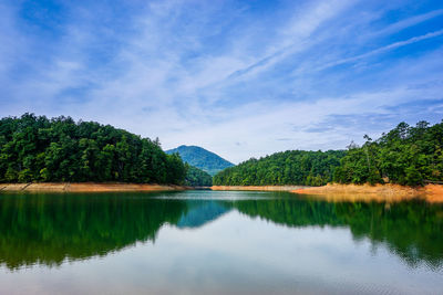 Scenic view of lake by trees against sky