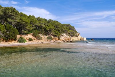 Scenic view of beach against sky