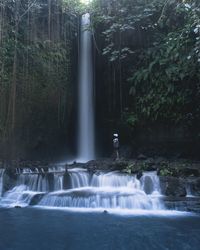 Scenic view of waterfall in forest