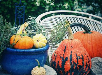 Pumpkins in market stall