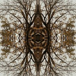Low angle view of bare trees