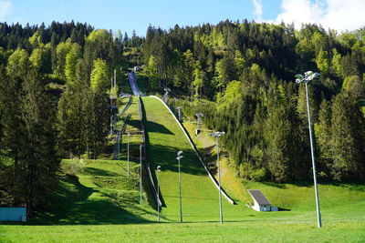 Panoramic view of trees on field against sky