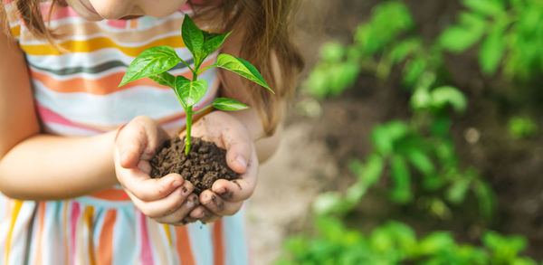 Midsection girl holding sapling