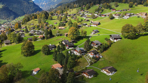 High angle view of trees and houses on field