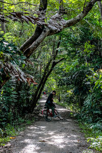 Man riding bicycle on tree amidst plants