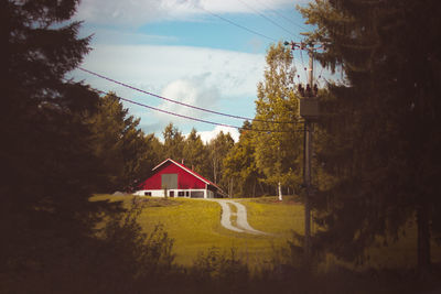 House and trees by road against sky