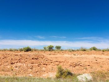 Scenic view of field against blue sky