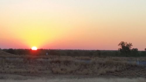 Scenic view of field against clear sky during sunset