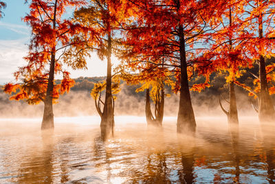 Scenic view of lake against sky during autumn