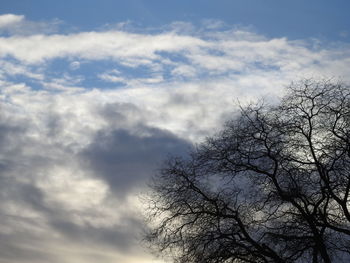 Low angle view of silhouette tree against sky