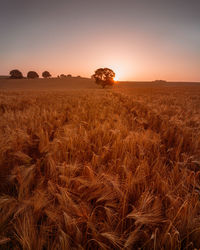 A beautiful mornings sunrise 