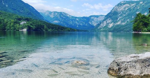 Scenic view of lake against mountains