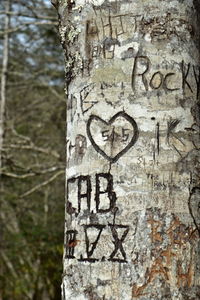 Close-up of text on wall