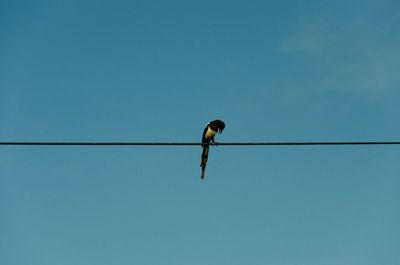 Low angle view of bird perched on blue sky