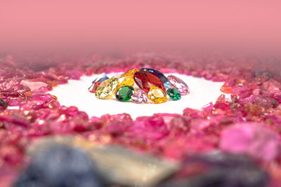 Close-up of pink flower petals on leaf