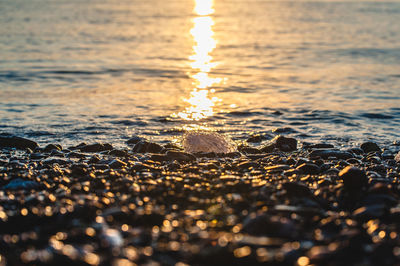 Close-up of water at beach during sunset