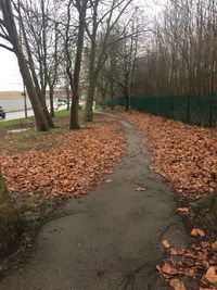 Dirt road amidst autumn trees against sky