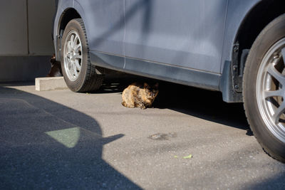 View of a car on the road