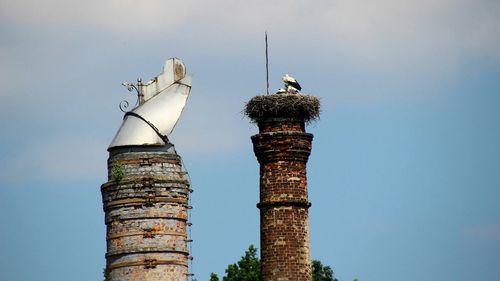 Low angle view of bird perching on tree against sky