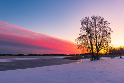 Scenic view of snow covered field against sky at sunset
