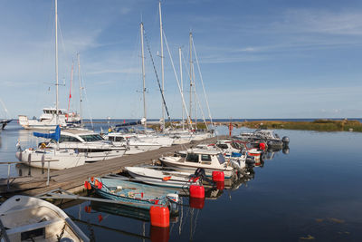 Sailboats moored in harbor