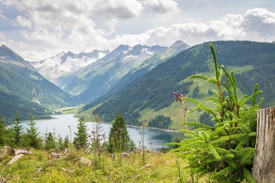 Lake and snowcapped mountains in hohe tauern national park, austria