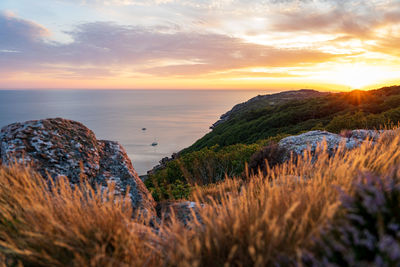 Summer sunset from the top of the mountain at kullaberg nature reserve in sweden.