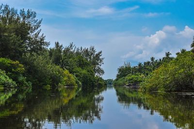 Scenic view of lake trees against sky