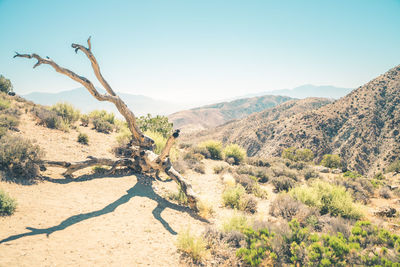 Scenic view of arid landscape against clear sky