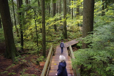 People walking on footbridge in forest