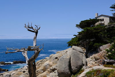 Scenic view of sea against clear blue sky