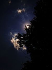 Low angle view of silhouette trees against sky