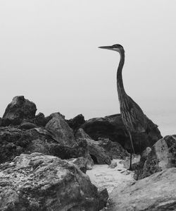 Rock formations on coast