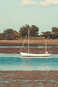 Sailboat in sea against sky