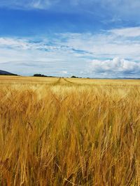 Scenic view of field against cloudy sky