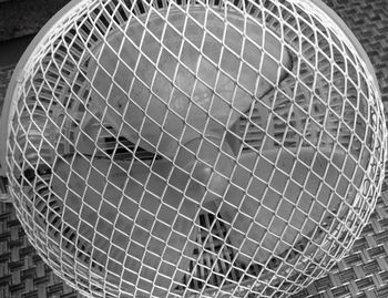 Close-up of insect on railing