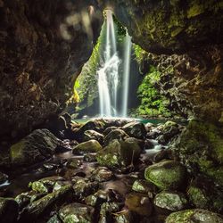 Scenic view of waterfall in forest