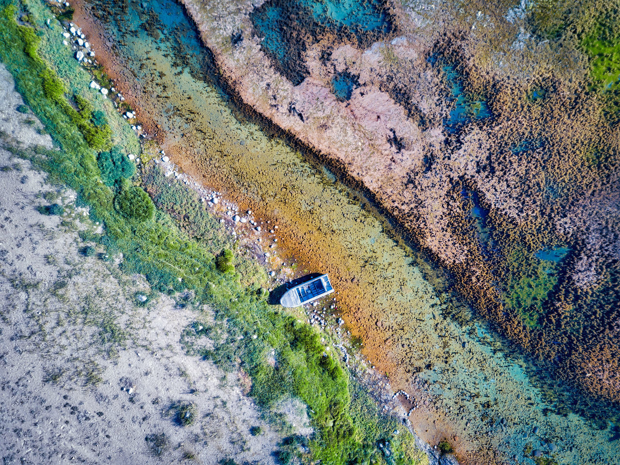 HIGH ANGLE VIEW OF PLANTS ON LAND BY SEA