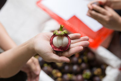 Close-up of woman holding mangosteen