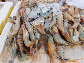 High angle view of fish for sale in market