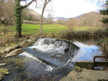 Scenic view of stream by trees against sky