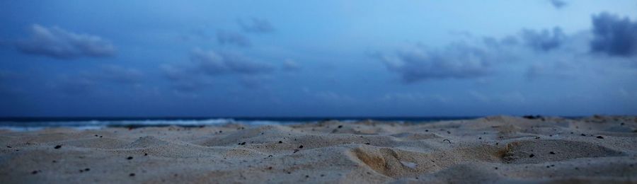 Close-up of beach against sky