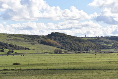 Scenic view of agricultural field against sky