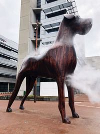 Horse standing in front of built structure